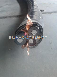 高压电缆YJLV铝芯电缆YJLV 1*70