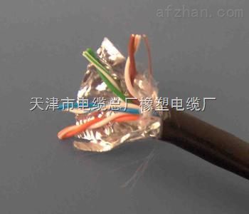 软芯电缆     VVR22 3*10+1*6