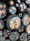 CEFRP电缆和CEFR电缆区别