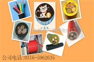 MY矿用独芯10平方橡套电缆价格查询18232657099
