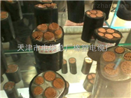 YHDP 14*4 YHDP 抗裂耐寒电缆参数
